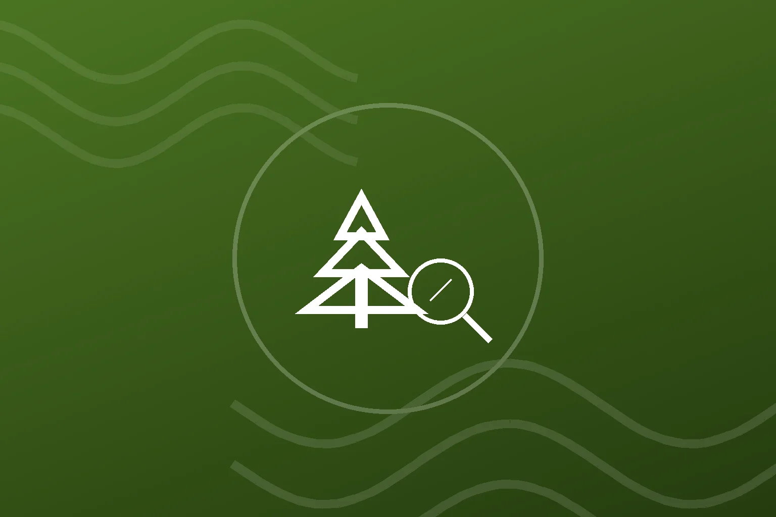Tree health assessment in a Binghamton yard